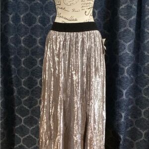 LuLaRoe Shiny Silver Maxi Skirt